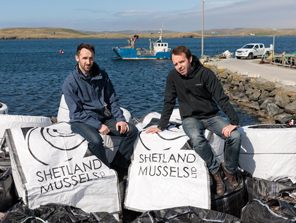 Shetland mussels